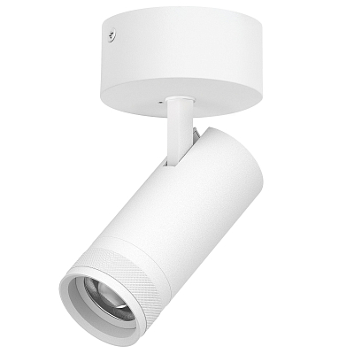 Спот Lightstar Canno Pro C4206SO 400_400_3095470
