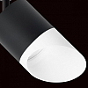 Светильник на штанге Lightstar Rullo R1T348786 100_100_1717987