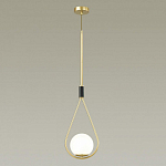 Подвесной светильник Odeon Light Flari 4810/1 250_100_1724267