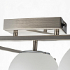 Потолочная люстра Citilux Dorsy CL223161 100_100_1694600