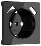 Накладка для розетки с заземлением и 2хUSB Werkel черный акрил W1179548 250_100_Array