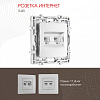 Розетка Ethernet RJ-45 без рамки Arte Milano am-217 217.45-2.silver 100_100_2167886