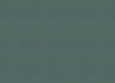 690750 Обои Rasch (1*12) 10,05x0,53 винил на флизелине 400_400_2148476
