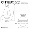 Подвесной светильник Citilux CLOUDY CL323162 100_100_2820266