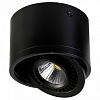 Накладной светильник Favourite Reflector 1779-1C 100_100_1764712