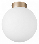 Накладной светильник Lightstar Globo 812023 250_100_3155802