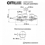 Люстра на штанге Citilux ALTON CL421273 250_100_1692366